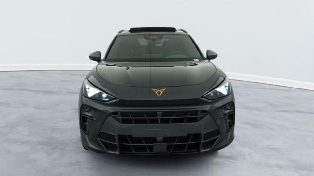 Cupra Terramar image 9