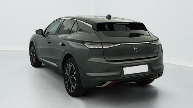 Ds Ds 4 image 7