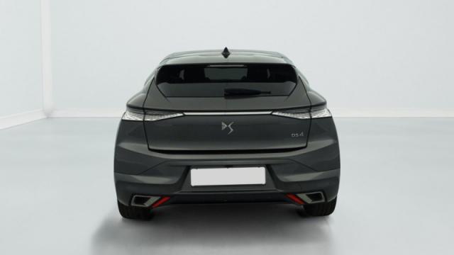 Ds Ds 4 image 1