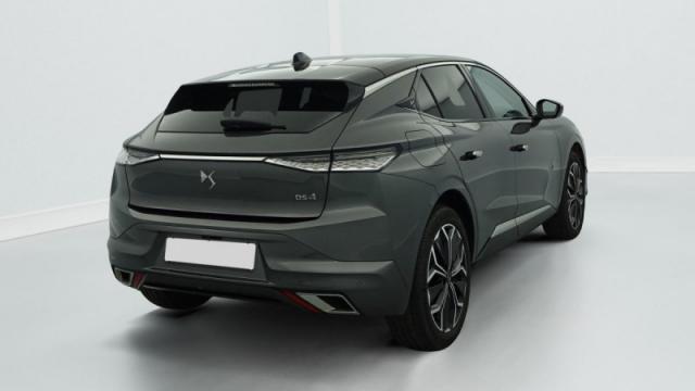 Ds Ds 4 image 6