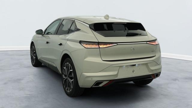 Ds Ds 4 image 1