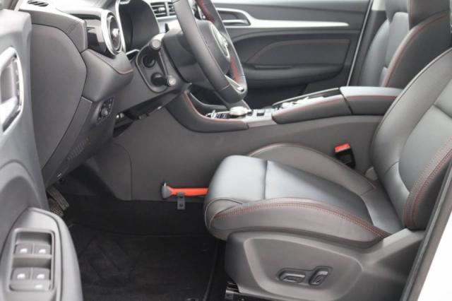 Mg Zs image 6