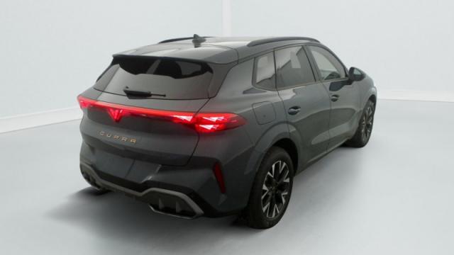 Cupra Terramar image 9