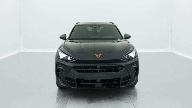 Cupra Terramar image 5