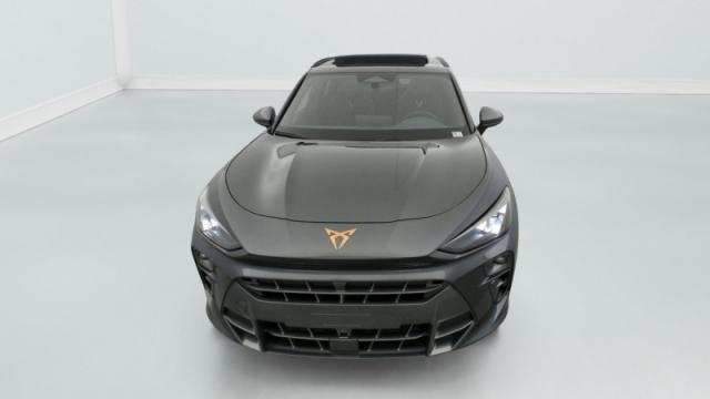 Cupra Terramar image 5