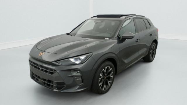Cupra Terramar image 9