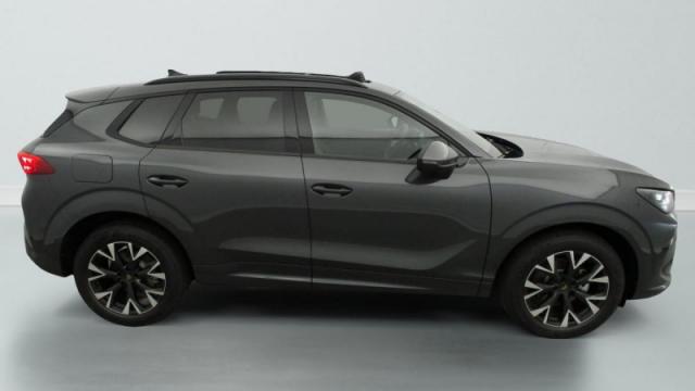 Cupra Terramar image 3