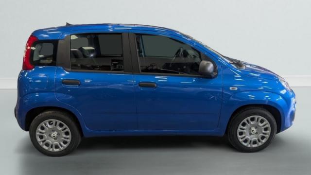 Fiat Panda image 4