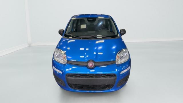 Fiat Panda image 5