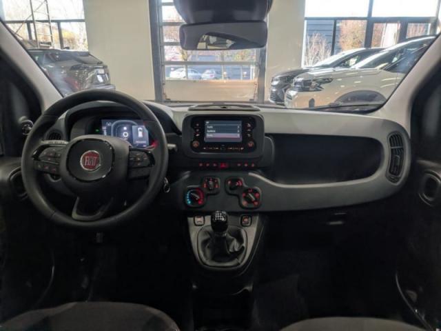 Fiat Panda image 1