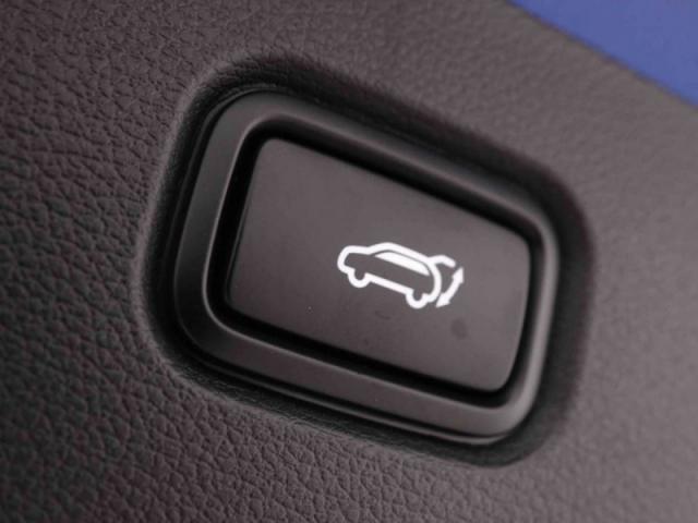 Kia Sportage image 1