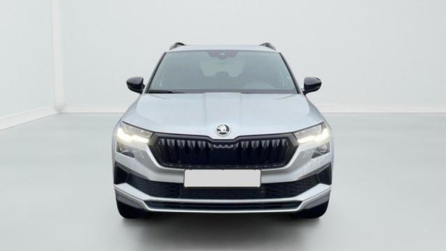 Skoda Karoq image 8