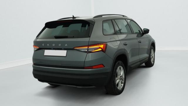 Skoda Kodiaq image 1