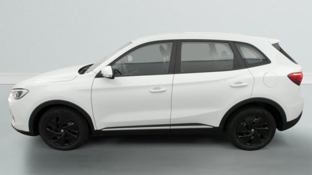 Mg Zs image 8