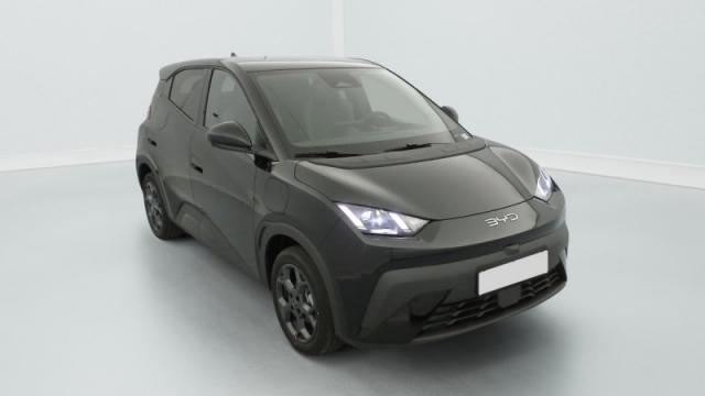 Byd Dolphin Surf 43.2 Kwh 156 Ch Comfort