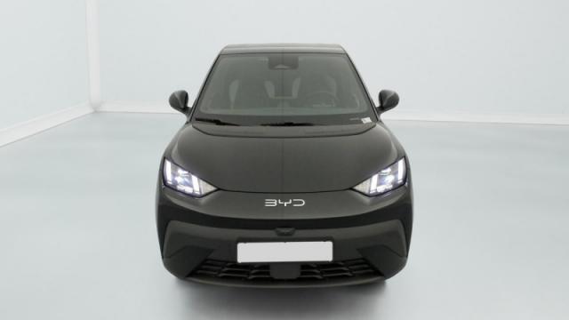 Byd Dolphin image 8