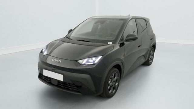 Byd Dolphin image 6