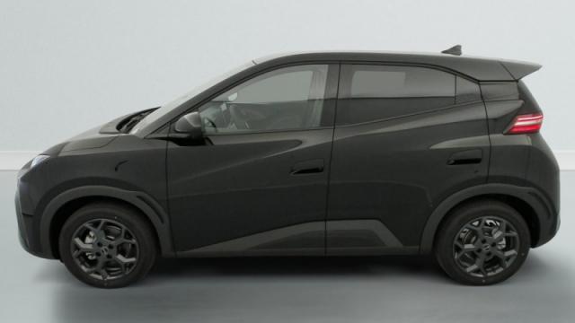 Byd Dolphin image 9