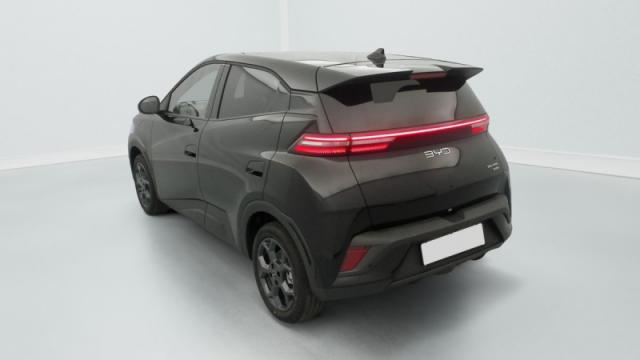 Byd Dolphin image 3