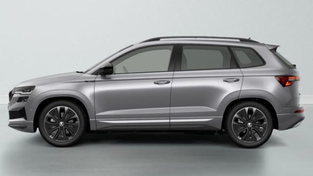 Skoda Karoq image 2