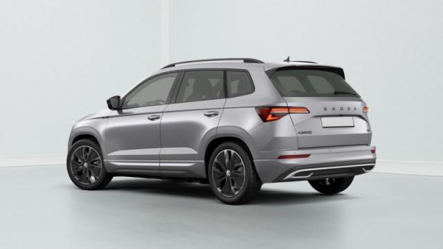 Skoda Karoq image 1
