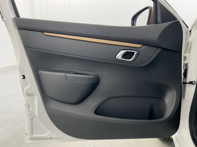 Dacia Spring image 1