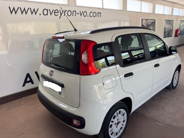Fiat Panda image 1