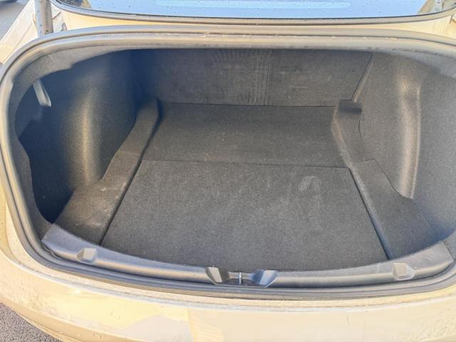 Tesla Model 3 image 1