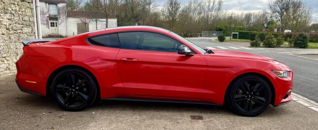 Ford Mustang image 5