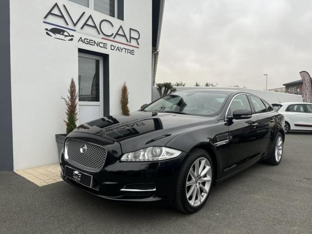 Jaguar