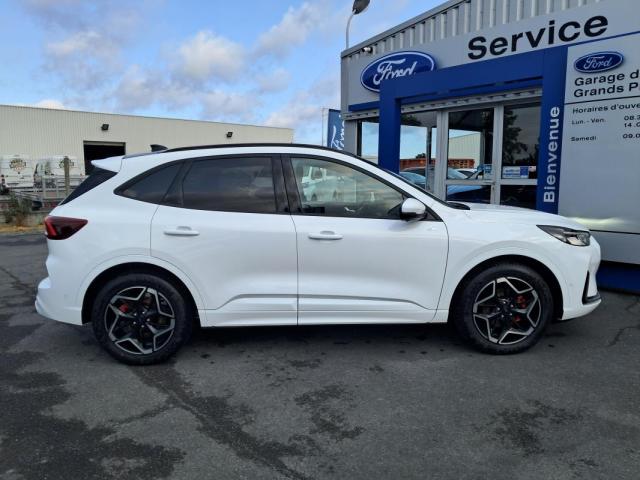 Ford Kuga image 1