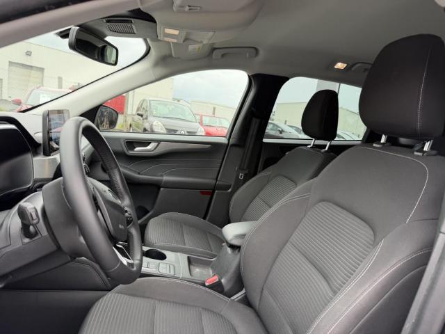 Ford Kuga image 6