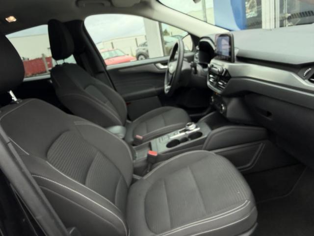 Ford Kuga image 2