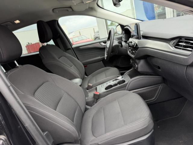 Ford Kuga image 3