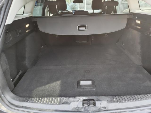 Ford Focus image 6