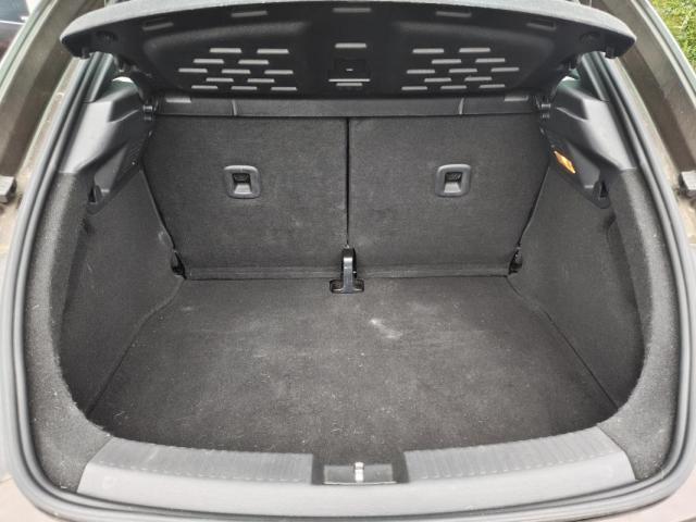 Volkswagen Beetle image 8