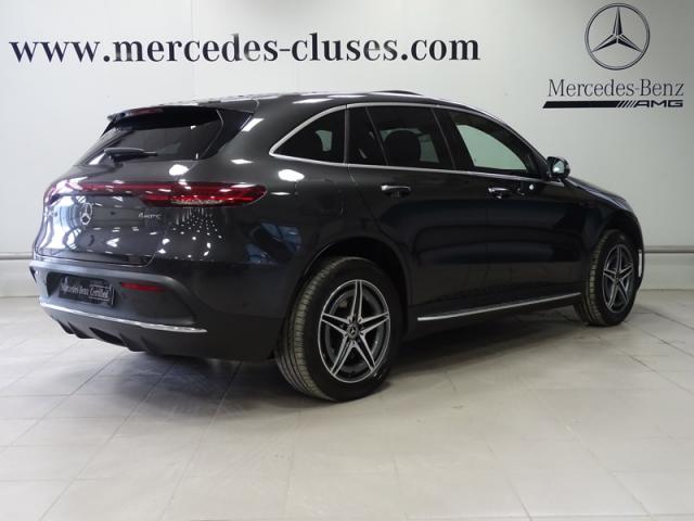 Mercedes Benz Eqc image 5