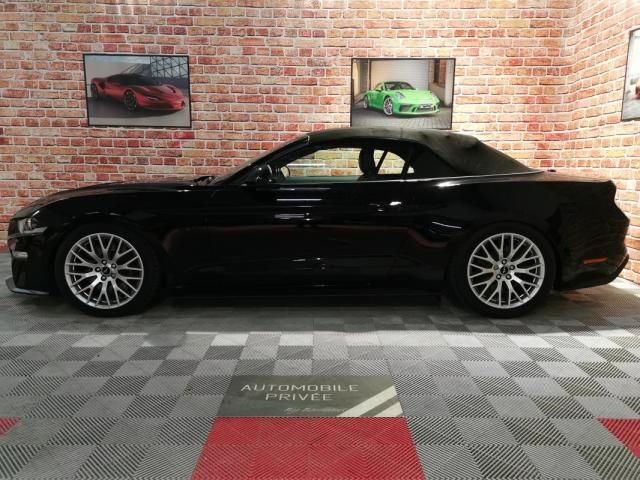 Ford Mustang image 4