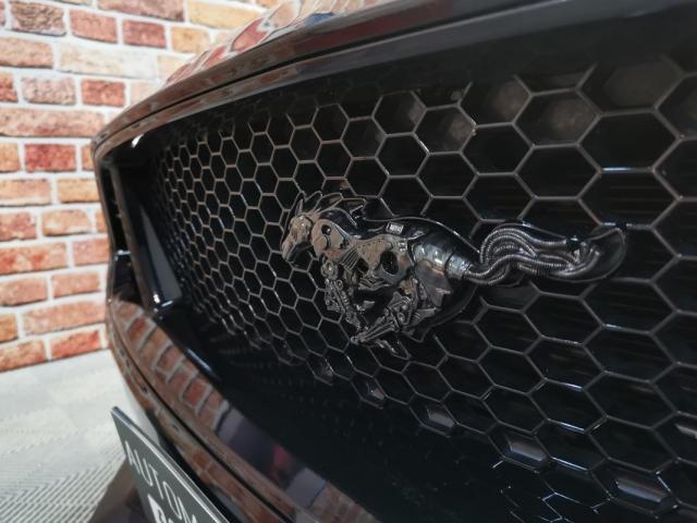 Ford Mustang image 7