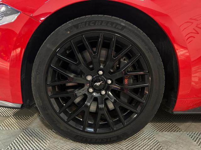 Ford Mustang image 5