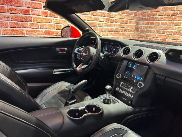Ford Mustang image 1