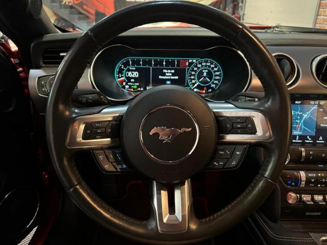 Ford Mustang image 3
