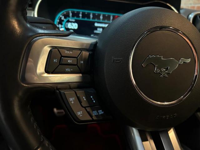 Ford Mustang image 4