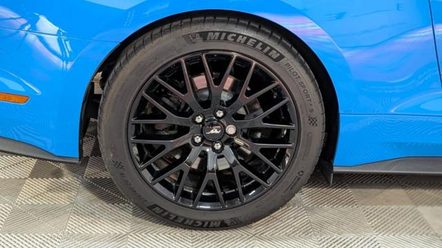Ford Mustang image 3