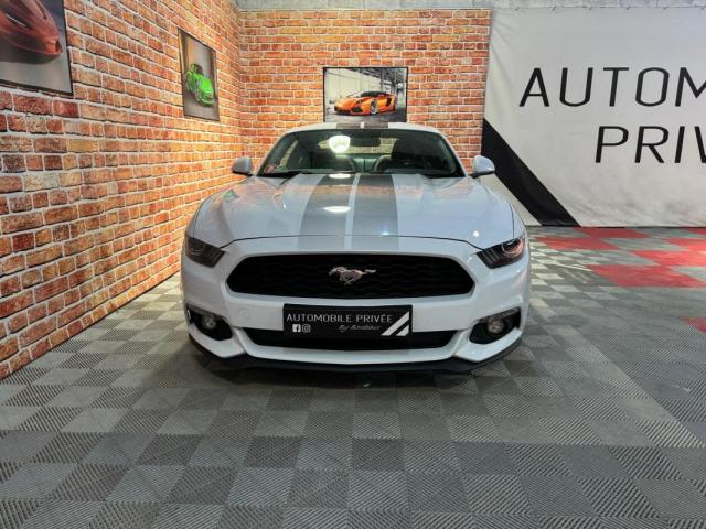 Ford Mustang image 3