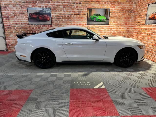 Ford Mustang image 1