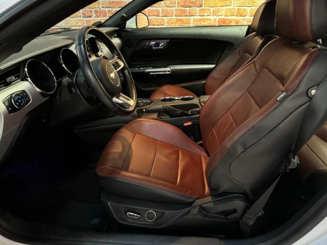 Ford Mustang image 9