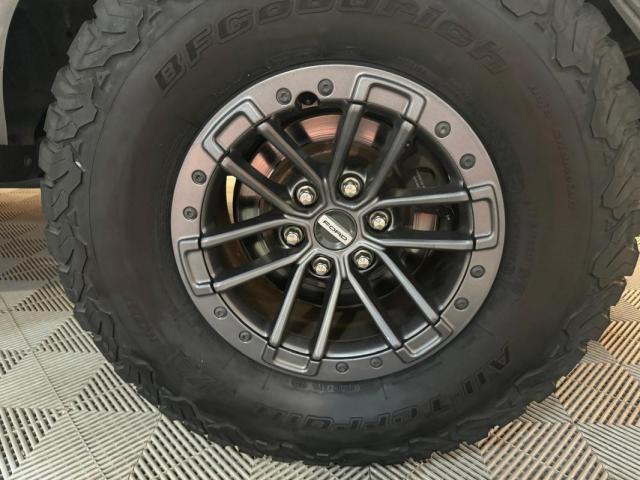 Ford Raptor image 2