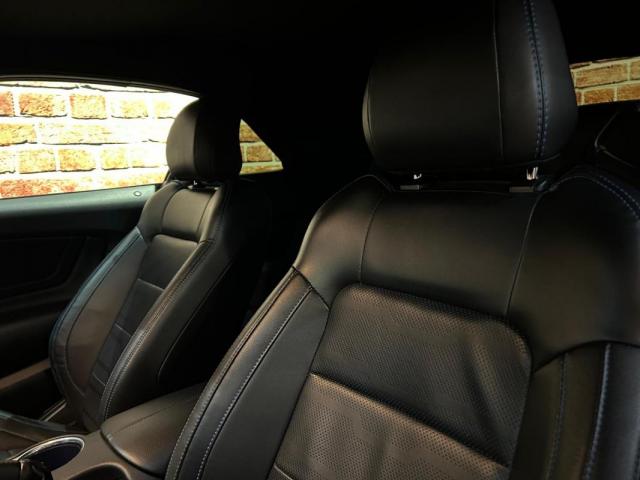 Ford Mustang image 2