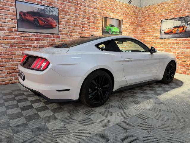 Ford Mustang image 1
